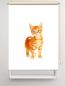 Preview: Rollo Bella Katzenbaby, Rollo, Motivrollo, Rollo mit Druck, Fotorollo, bedrucktes Rollo, Fensterrollo,verdunkelndes Rollo, Sonnenschutz Rollo